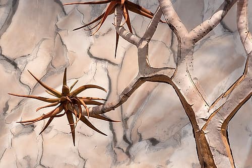 Africa-Namibia-Quiver tree and bark photo montage Art Print